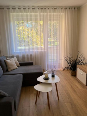 Apartamentai miesto centre